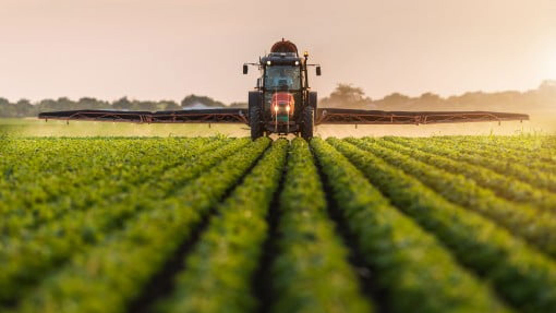 Shutterstock 692043769