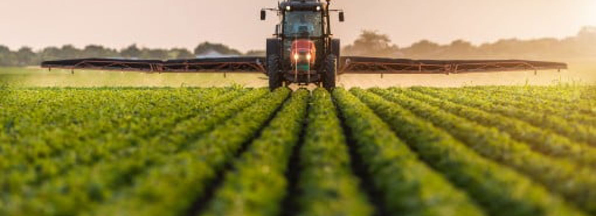 Shutterstock 692043769