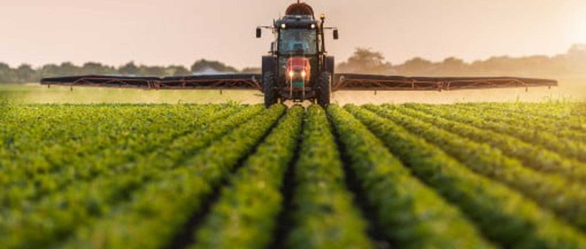 Shutterstock 692043769