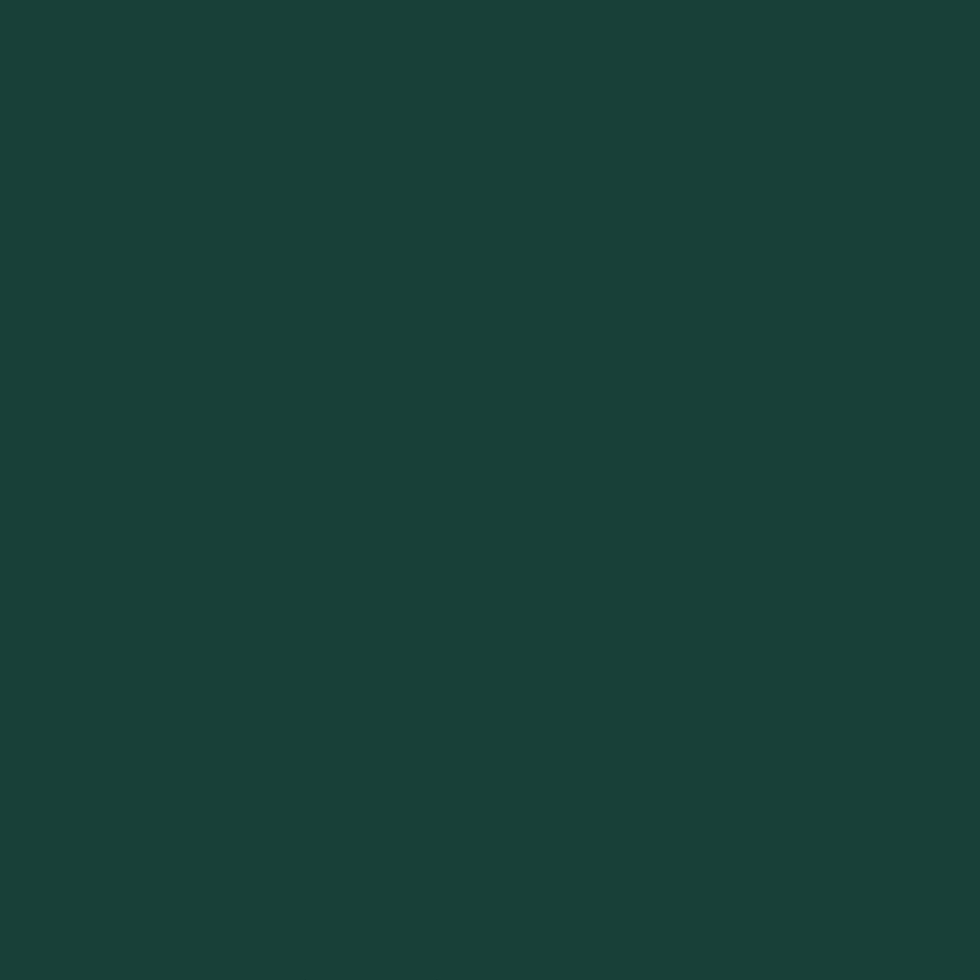 Green Backround