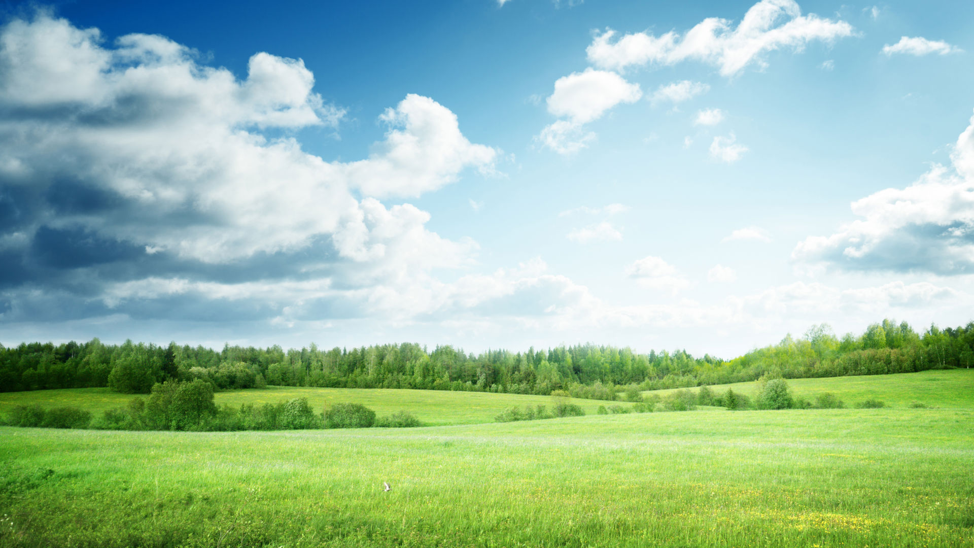 Istock 530482268