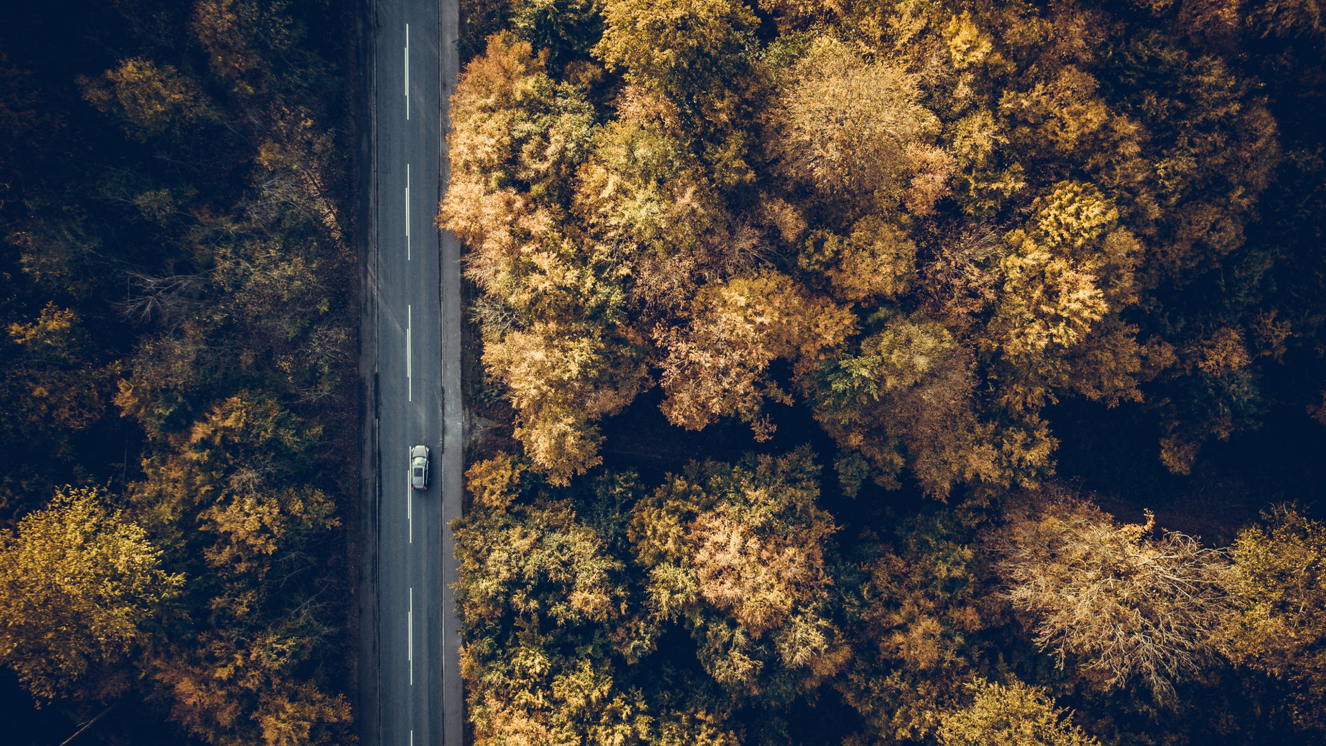 Istock 868558080