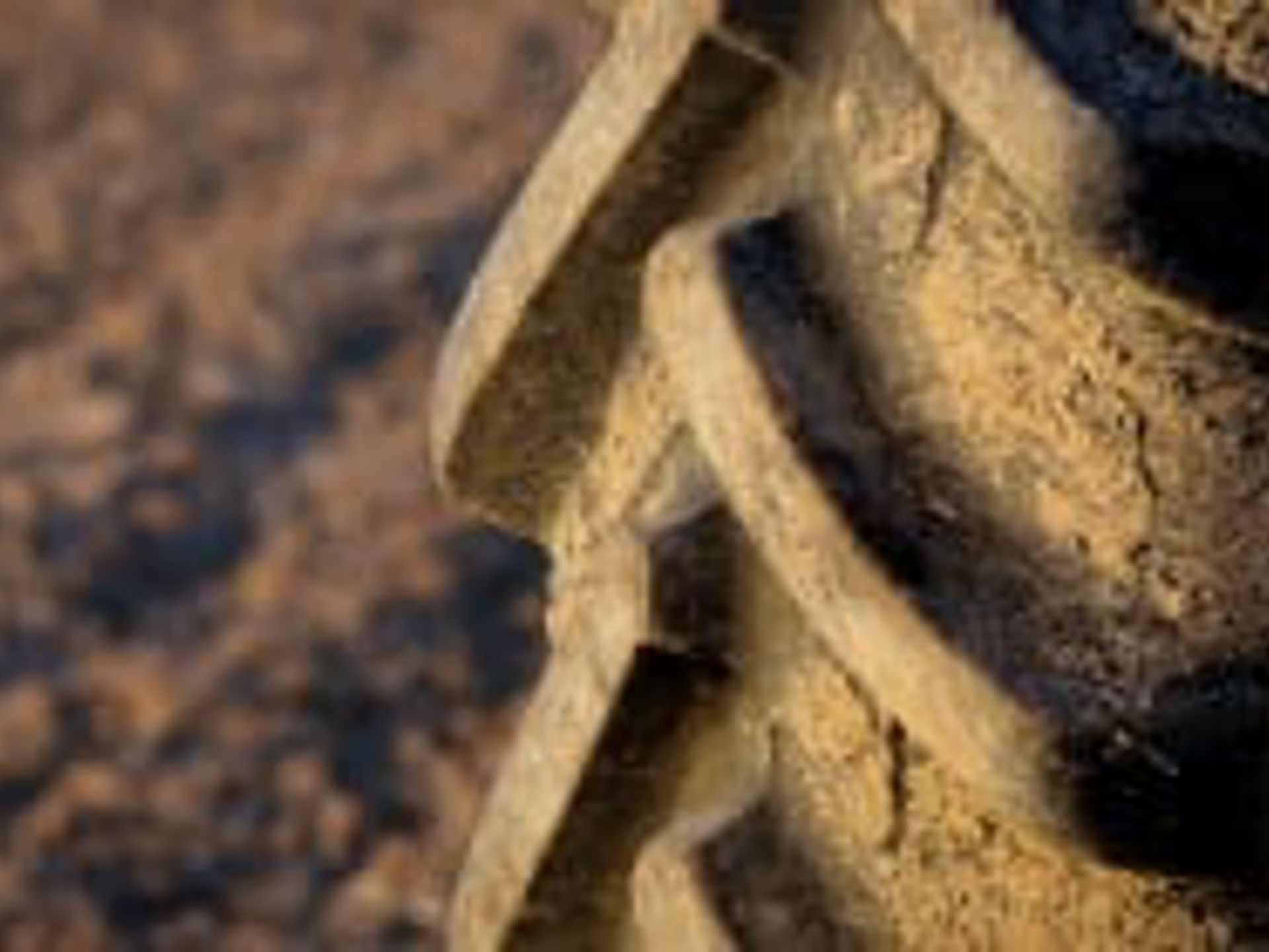 Shutterstock 590082866