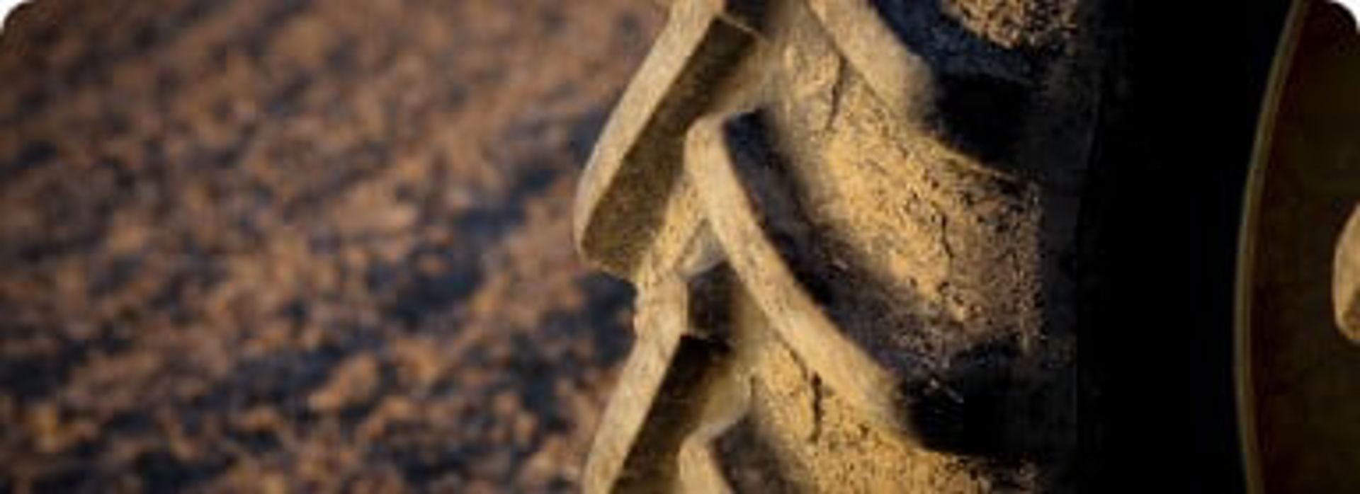 Shutterstock 590082866