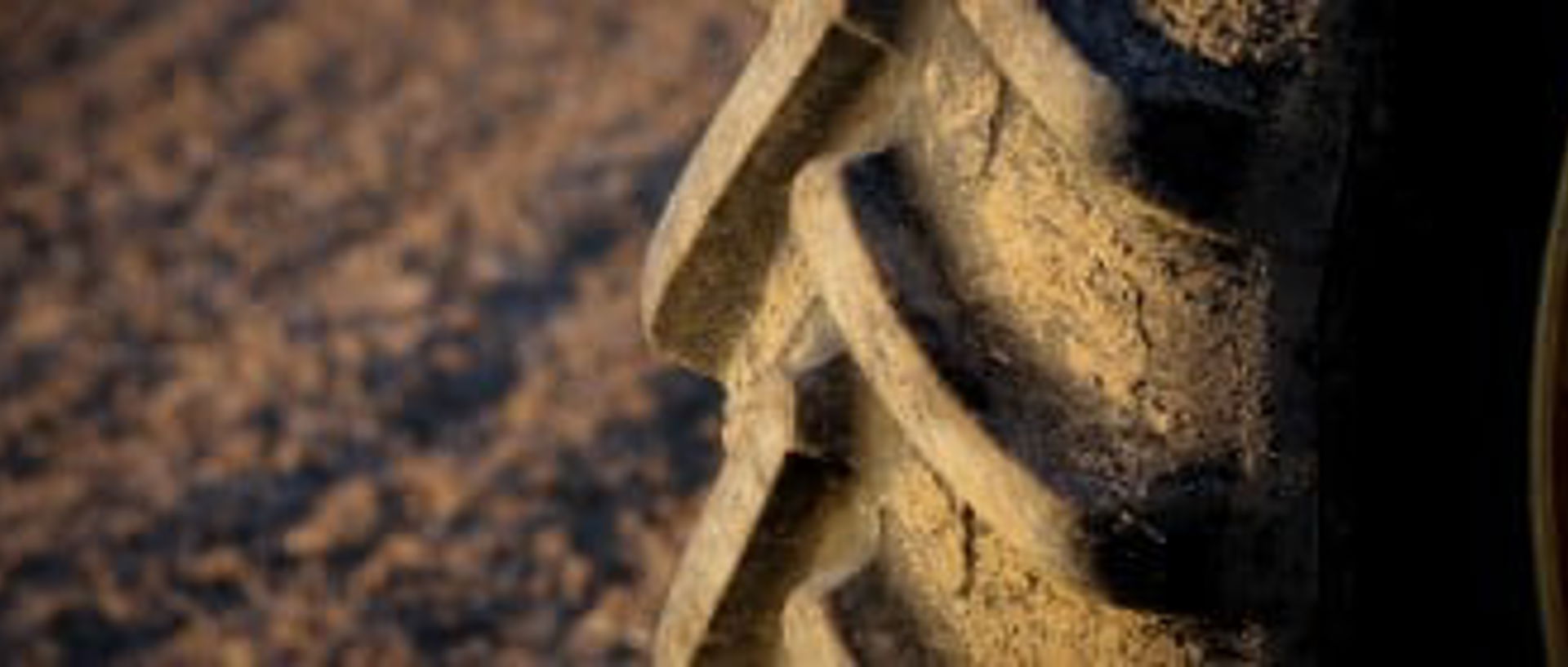 Shutterstock 590082866