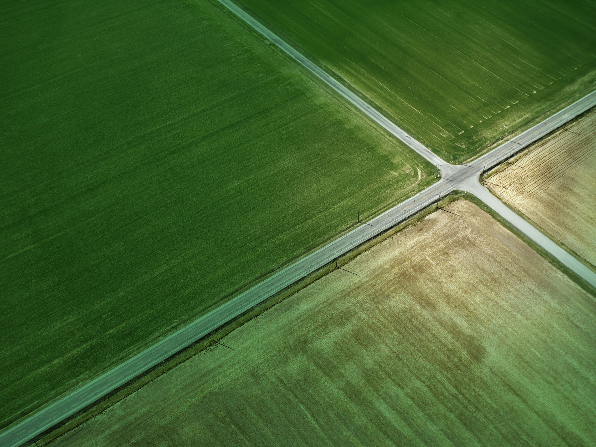 Vej Kryds Pension Greenoverlay