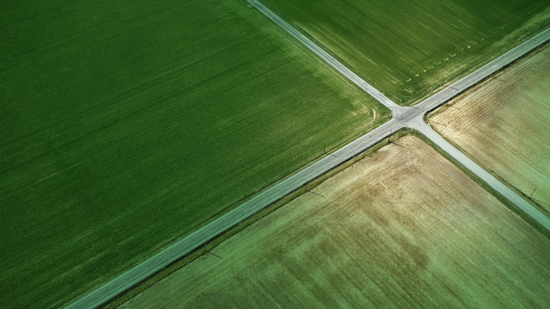 Vej Kryds Pension Greenoverlay