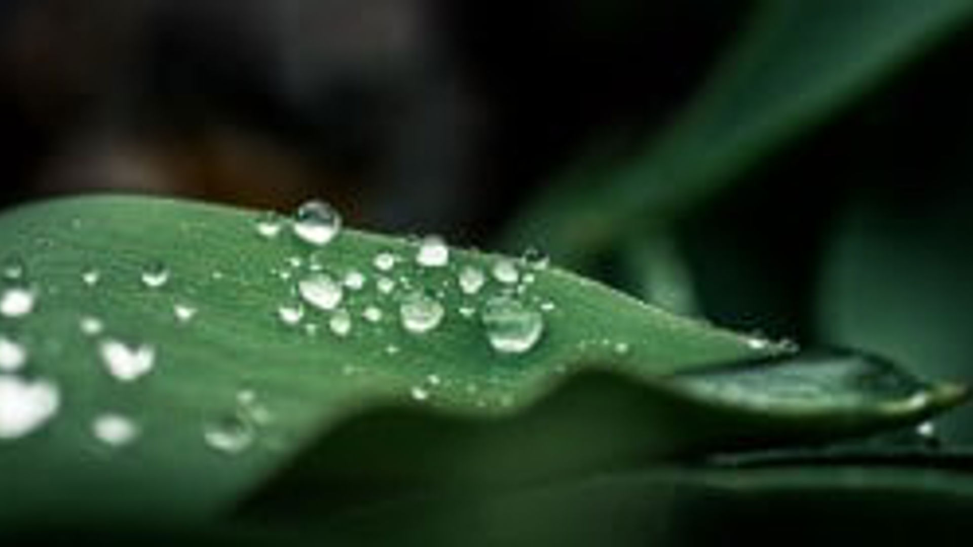 Shutterstock 627131453