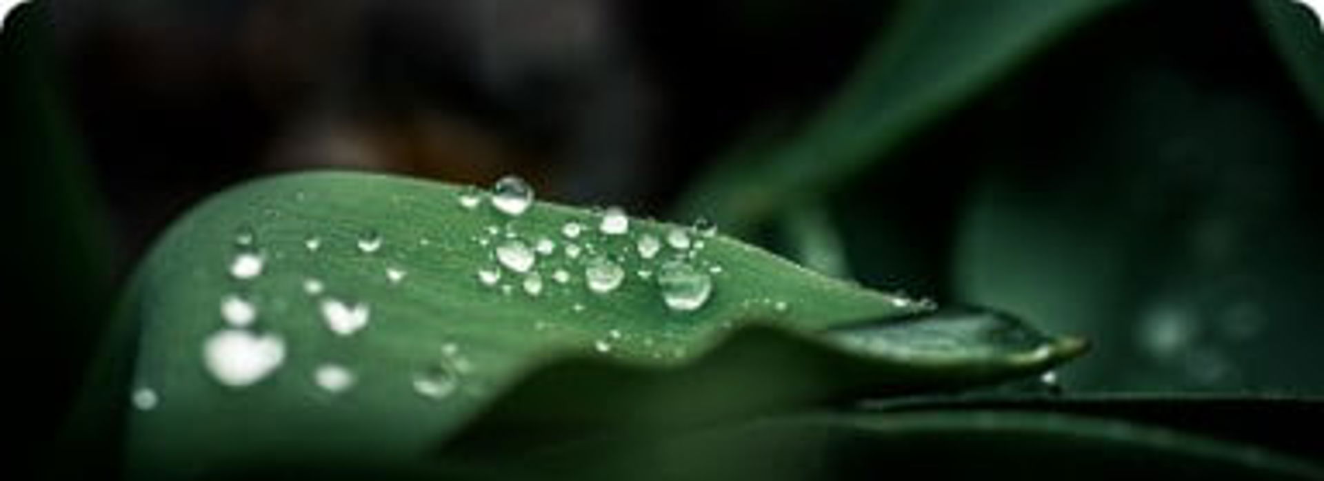 Shutterstock 627131453