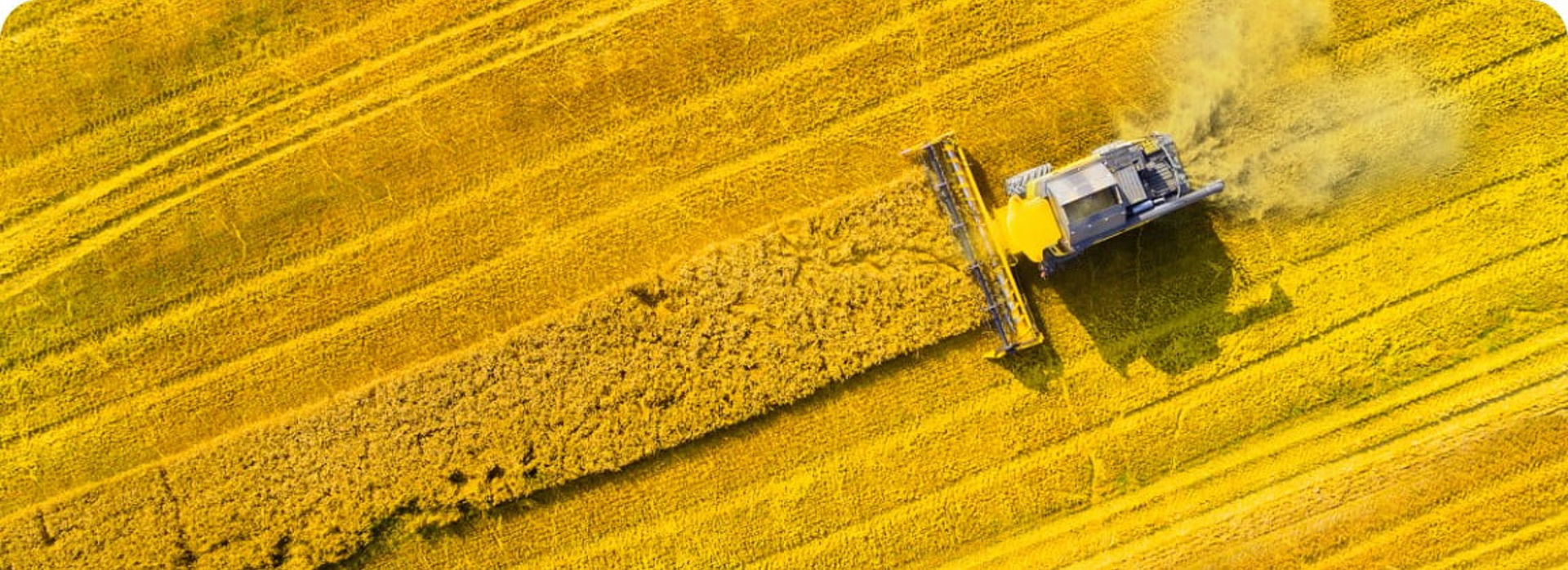 Shutterstock 681770029@3X