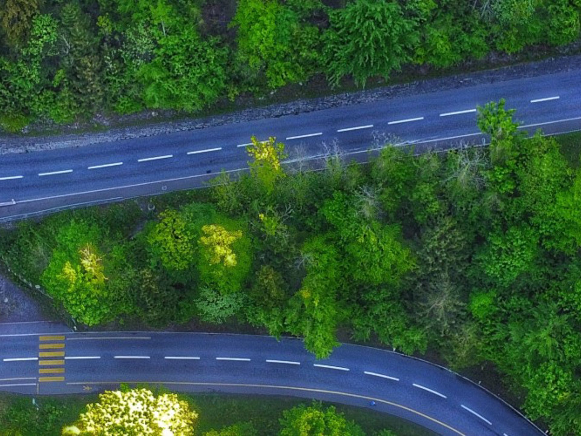 Banner Vejen Frem Er Groen